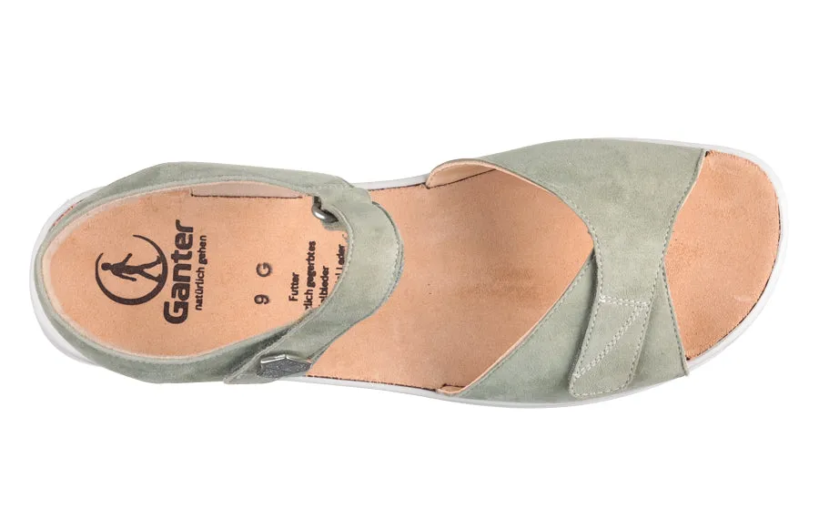 GAN FOREST GREEN