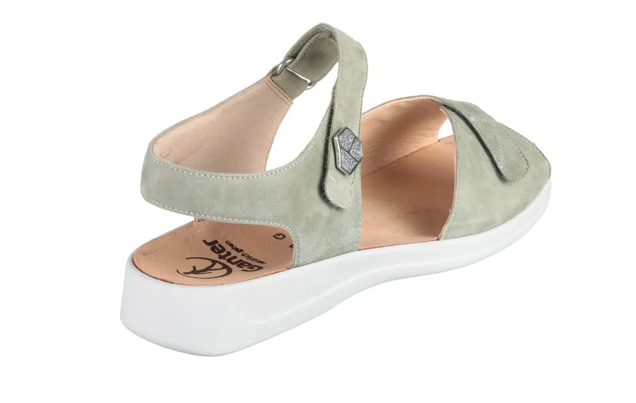 GAN FOREST GREEN