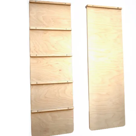 Reversible Ladder Climbing / Sliding Ramp